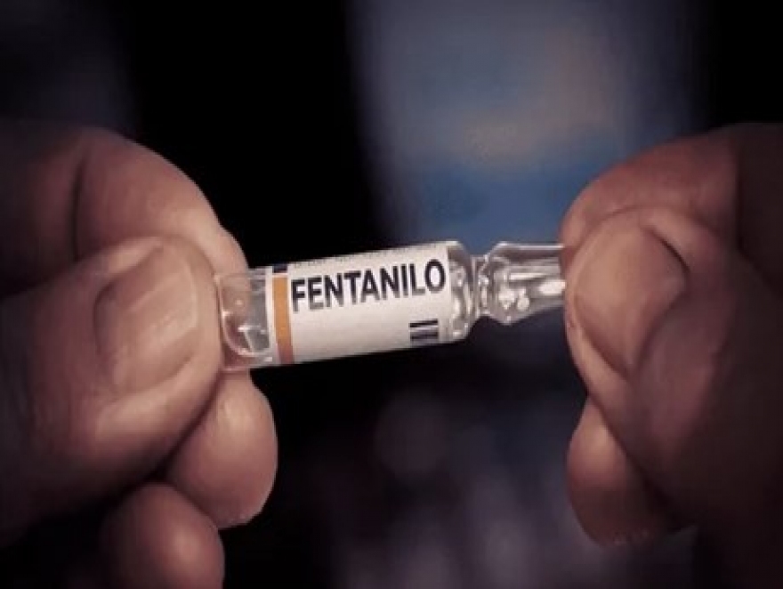 FANTANILLO: 15 MUERTOS